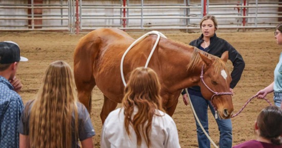 Hanna Rainforth demonstrates equine sports therapy techniques to NCTA students and visitors on the NCTA campus.