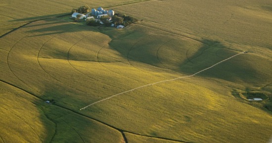 Nebraska net farm income is projected to reach a record $9.96 billion in 2026, driven by higher government payments, strong livestock receipts and a rebound in crop revenue. Craig Chandler | University Communication and Marketing