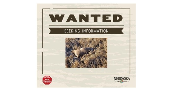 Nebraska Game and Parks Seeking Information Pertaining To Poaching