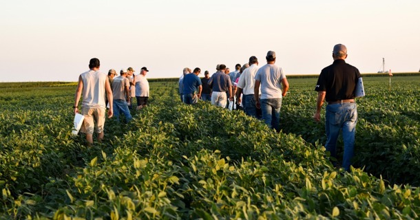 2025 SMFD: Soybean Management Field Days return August 12–15, offering in-field learning and production discussions at sites across Nebraska.