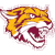 Bethune Cookman,Wildcats Mascot